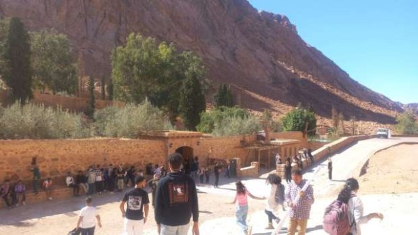 معالم تاريخية داخل دير سانت كاترين.. شجرة تنمو في مكانها فقط وبئر موسى النبى - صور