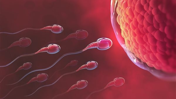 هل التهاب الغشاء البريتوني يؤثر على فرص الحمل؟.. استشاري يجيب