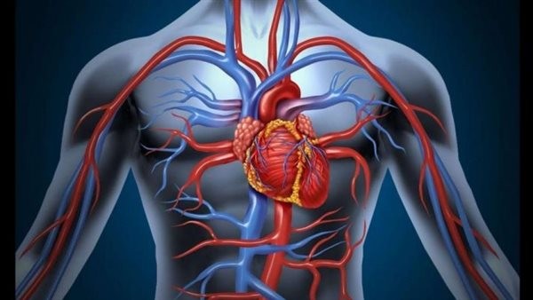 هل الأشخاص الأصغر سنًا أكثر عرضة لخطر الإصابة بتصلب الشرايين؟.. دراسة تكشف