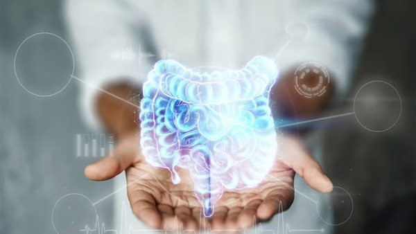 إنشاء قولون مصغر ثلاثي الأبعاد لعلاج التهاب الأمعاء والسرطان.. كيف هذا؟