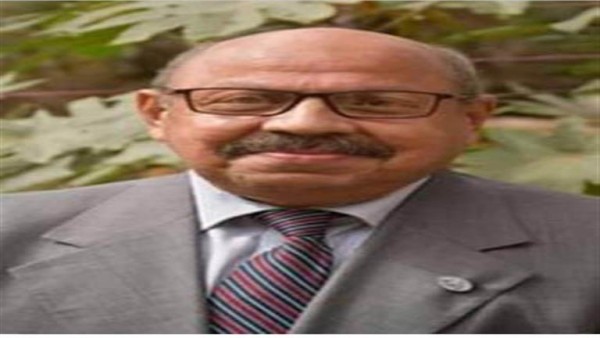 محبوب للغاية وأسيء فهمه.. معلومات صادمة عن كلب البيتبول بعد أزمة الإعلامية الشهيرة
