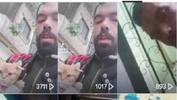 مأساة تعذيب قط شيرازي على يد عامل: «خده معاه البيت وصوره وهو بيضربه»