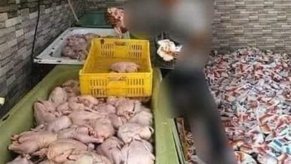 تجار يبيعون الفراخ المجمدة على أنها بانيه طازج بـ170 جنيها للكيلو.. وشعبة الدواجن ترد