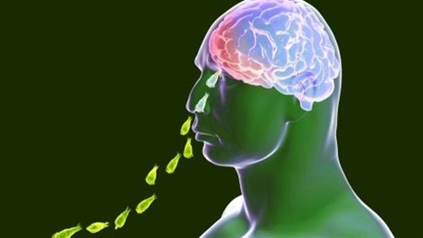 بعد وفاة أمريكي بها.. تعرف على أسباب عدوى الأميبا آكلة الدماغ