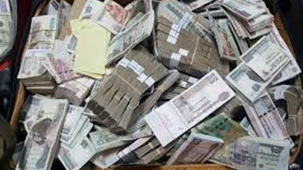 قرار عاجل ضد مسئول بوزارة الزراعة ورجال أعمال في أكبر قضية أراضي