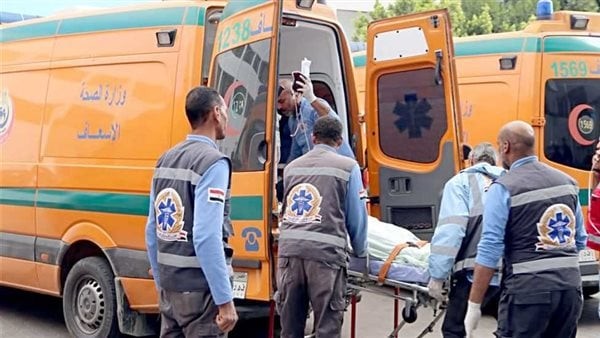 وقع مُصاب .. خفير يضرب لصًا بالنار أثناء سرقة سور كوبري بالجيزة