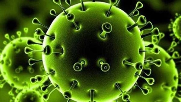فيروس "إيريس EG.5" متحور كورونا الأخطر.. الأطباء: أعراضه التهاب حلق وحمى وآلام متفرقة في الجسم.. أستاذة أمراض قلب تقدم روشتة وقائية