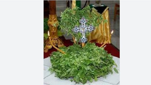 لماذا يرتبط عيد الصليب بالريحان في كنيسة الروم الأرثوذكس؟