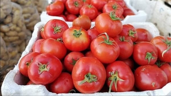 هبوط قوي في أسعار الطماطم والكوسة .. تعرف على قائمة الخضروات اليوم