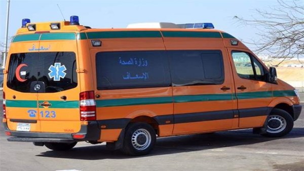 ليلة دامية على كورنيش النيل.. المتهم بقتل طالب دسوق أمام النيابة في كفر الشيخ