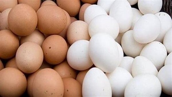 الوحدة بـ 5 جنيهات.. شعبة الدواجن تكشف السعر العادل لـ طبق البيض