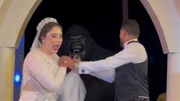 استنجدت بزوجها .. فقرة غريبة تتسبب في فزع عروسين بقاعة حفل زفافهما|شاهد