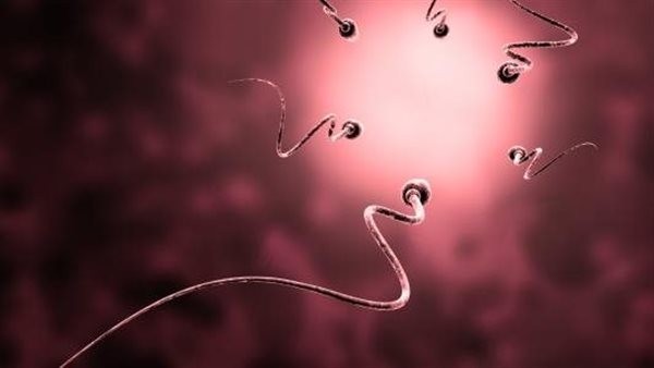كيف يمكن الوقاية من تشوهات الحيوان المنوي؟.. احذر استخدام حمامات البخار والساونا