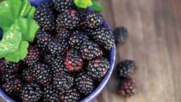 للحصول على فوائده الصحية.. 6 طرق لتناول التوت