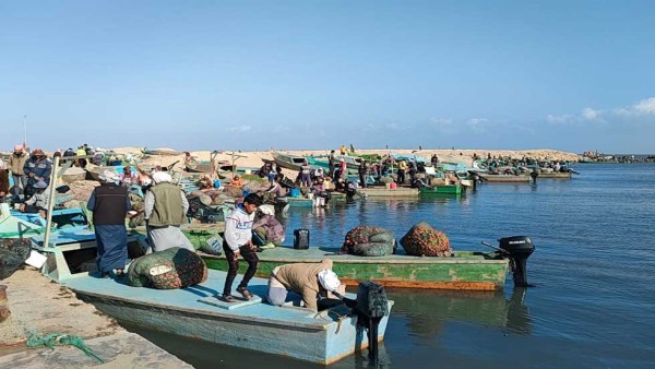 حقيقة بيع بحيرة البردويل.. متحدث الحكومة يكشف التفاصيل (فيديو)