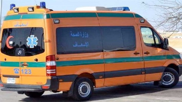 مأساة في الشرقية.. وفاة طالبة جامعية إثر سقوط نخلة عليها