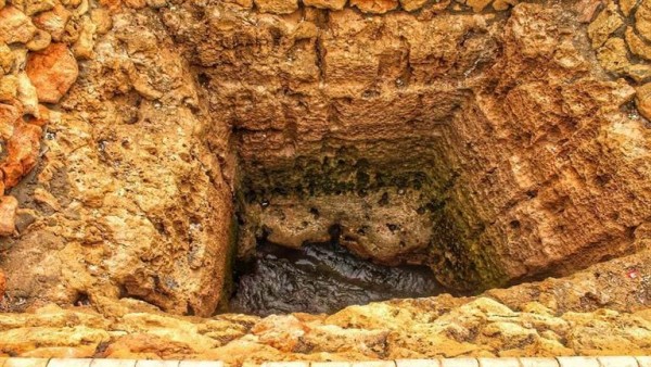 بئر به "فلوس" في الإسكندرية.. ما قصته- صور