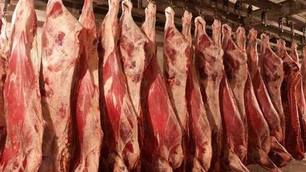 تنخفض 120 جنيهًا.. مفاجأة فى أسعار اللحوم اليوم الثلاثاء
