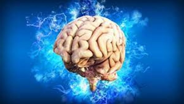 أطعمة تعمل على تلف الدماغ.. ما هي؟