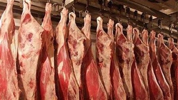 بسبب الدواجن| رئيس شعبة القصابين يتوقع انخفاض أسعار اللحوم لـ 120 جنيها
