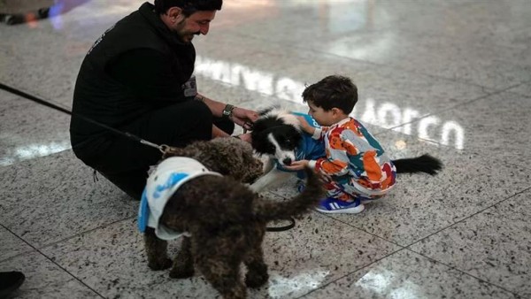 مطار إسطنبول يوظف 5 كلاب مهمتهم عناق وتقبيل المسافرين