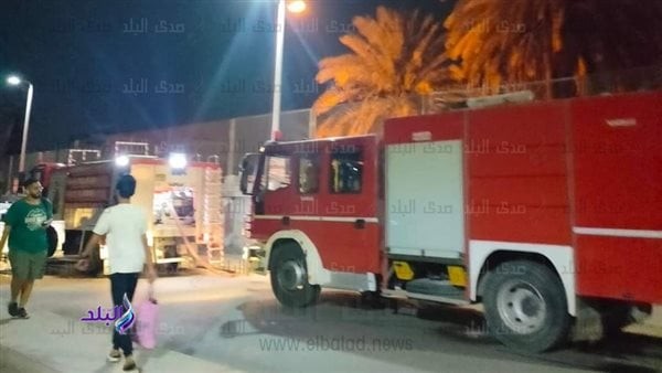 شاهد.. حريق يلتهم عددا من النخيل والأشجار بحلوان
