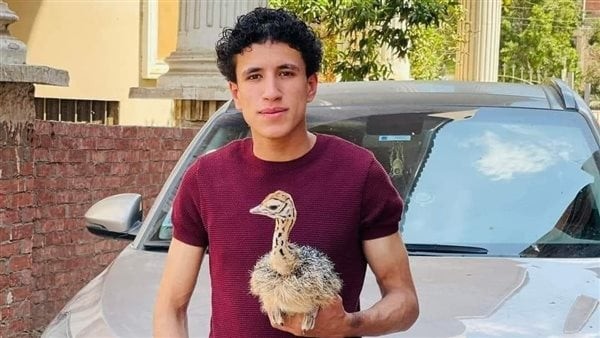 الناس بتبصلي في كل حاجة وبحب الخير للكل.. آخر كلمات أصغر مربي نعام في مصر لأصدقائه