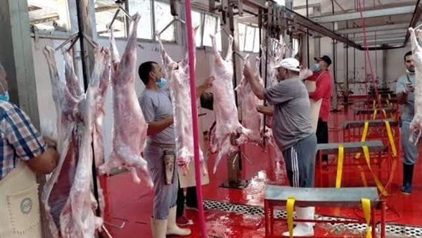 ننشر أسماء وعناوين مجازر الوادي الجديد المفتوحة مجانًا في عيد الأضحى