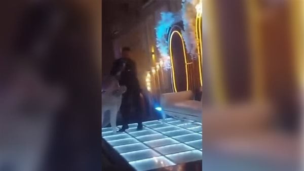 جرها على الأرض، تفاصيل صلح عريس كفر صقر مع عروسته بعد خناقة الفرح (فيديو)