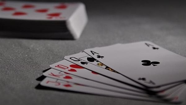 بعد تحذير محافظ بورسعيد.. هل لعب "الكوتشينة" ممنوع قانوناً؟