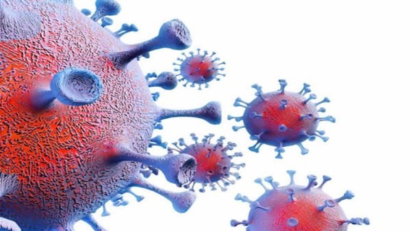 حقيقة الفيروس الجديد في مصر.. الصحة توضح وتقدم نصائح مهمة للوقاية