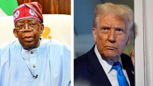 ترامب يلوح بعمل عسكري ضد نيجيريا بسبب اضطهاد المسيحيين