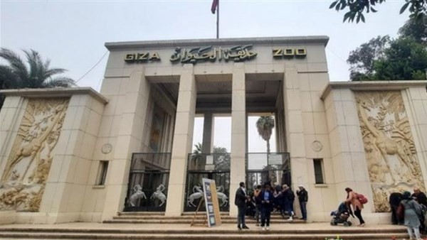 تطوير شامل لحديقة الحيوان بالجيزة: وصول 4 أسود و3 نمور واستيراد 362 حيوانًا جديدًا