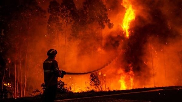 السيطرة على حريق هائل بـ"الغابة الشجرية" فى الغردقة ولا توجد إصابات