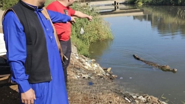 رعب في الشرقية.. تماسيح تتجول داخل مصرف مائي والمحافظة تتحرك