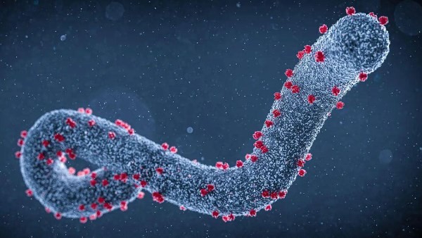 روشتة ذهبية للوقاية من دور البرد المنتشر .. تفاصيل