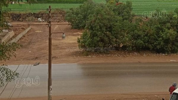 سقوط أمطار غزيرة على محافظة المنوفية وانتشار سيارات شفط المياه (فيديو)