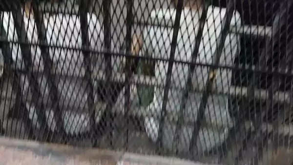 استولوا على أموال التبرعات.. ماذا قال مشايخ مشروع "ازرع نخلة" بالتحقيقات؟