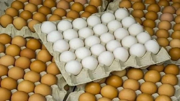 هبوط جديد في أسعار البيض مع اشتداد الحرارة.. والطبق دون الـ100 جنيه