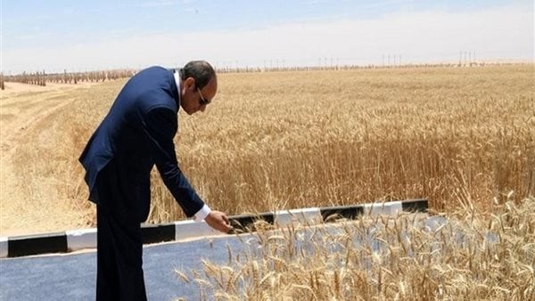 تفاصيل افتتاح السيسي المرحلة الأولى من مدينة مستقبل مصر الصناعية وموسم الحصاد