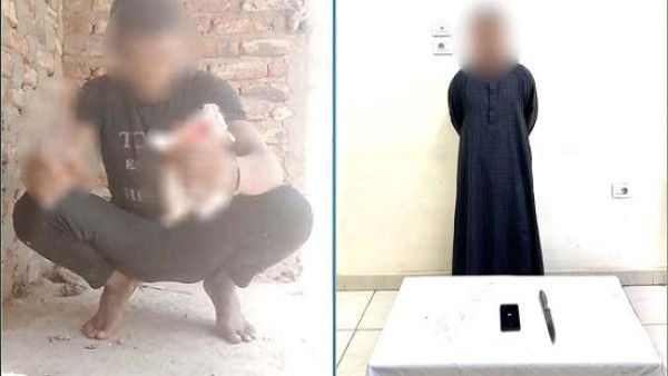 القبض على صاحب فيديو التعدي على "قطة" بسلاح أبيض في الأقصر