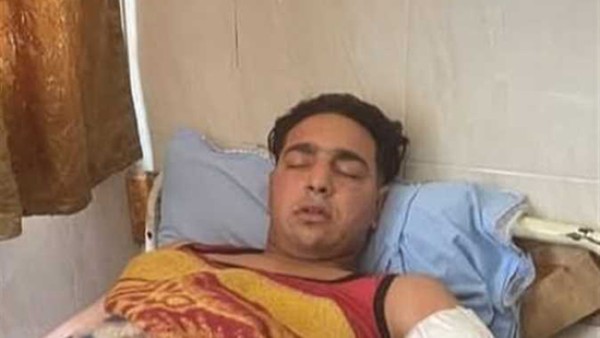 31 مايو.. أولى جلسات محاكمة مدربة الأسود أنوسة كوتة بتهمة الإهمال والتسبب في واقعة أكل نمر ذراع عامل سيرك طنطا