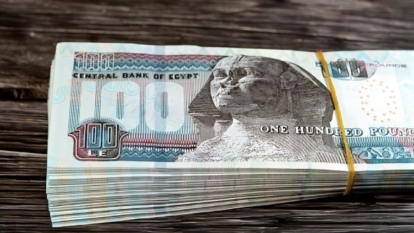 700 جنيه زيادة شهرية لجميع موظفي الدولة.. البرلمان يزف بشرى سارة