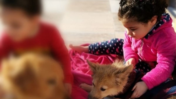 «مش قادرة أعيشهم زي زمايلهم».. أم تروي تفاصيل قتل أطفالها الثلاثة داخل فيلا الشروق