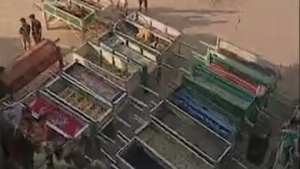 التحاليل تثبت تعاطى السائق المتسبب فى حادث إقليمى المنوفية للمخدرات