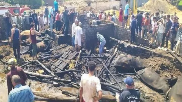 النيران اشتعلت من جديد.. كشف لغز الحرائق فى برخيل سوهاج -صور