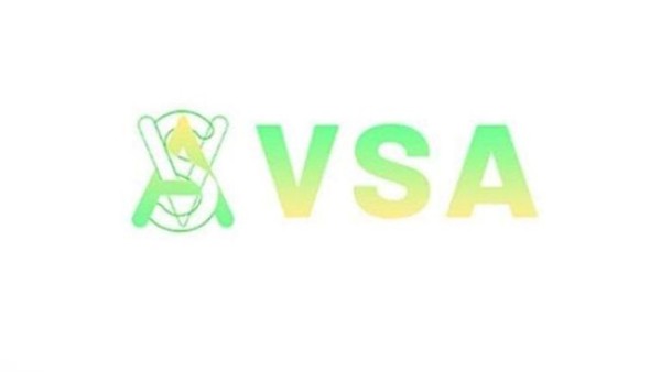 ضبط 23 متهمًا في أكبر قضية نصب إلكتروني على المواطنين باسم منصة "VSA"