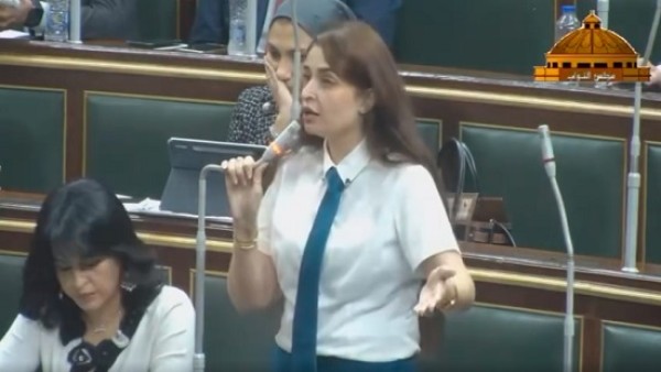 فيديو .. النائبة إيرين سعيد : أرفض تعديلات قانون التعليم (البكالوريا) .. ما ذنب الطلاب وأولياء الأمور في التغييرات المتلاحقة