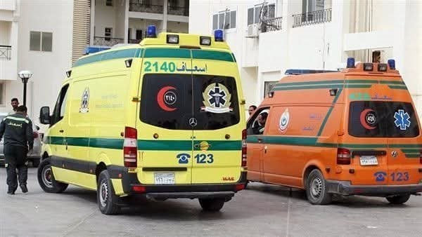 بالأسماء، إصابة 22 شخصا في انقلاب سيارة على الطريق الغربي بالفيوم
