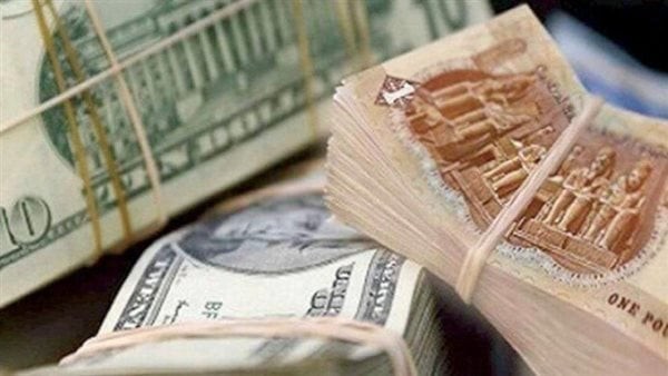 بعد تقدير قيمة الدولار بـ35 جنيه، خبير: حل المشكلات الاقتصادية بيد المصريين فقط
